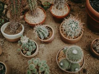 GlitterOneTest-hot's Model Profile