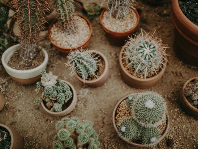 GlitterOneTest-hot - Live sex cam - 29294918