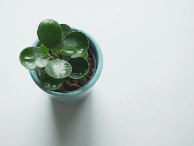 GlitterOneTest-hot - Live sex cam - 29294921