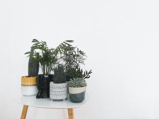 Ver la ficha detallada de GlitterOneTest-hot