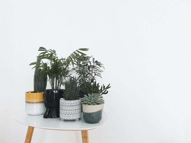 GlitterOneTest-hot - Live sex cam - 29294924