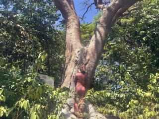 HannaBorbon's Model Profile