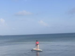 Ver la ficha detallada de HannaBorbon