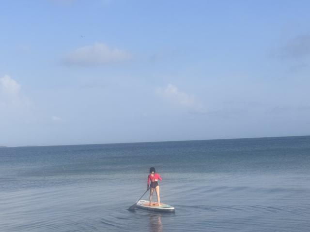 HannaBorbon, con un trasero pequeño, vestida con una camiseta roja y pantalones cortos negros, rema en una tabla de paddle surf en un océano azul y tranquilo, bajo un cielo despejado..