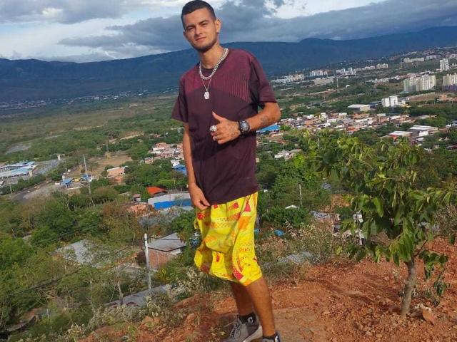 Digital art of a Soviet-style flag with a red star and hammer and sickle, centered in the image. Colors are muted with a focus on red and green. Simple, geometric design.