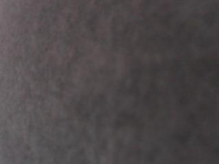 SoniaTestX's Model Profile