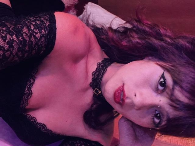 A flat, minimalist design featuring four red, white, and black coats of arms stacked vertically. Bold, simple colors with clean lines and symmetrical arrangement. No additional elements.