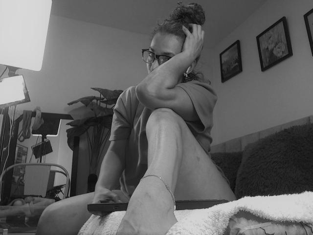 Digital illustration of a medieval-style coat of arms with a large, central, dark red "V" on a lighter red background. Simple, bold lines and flat colors. No textures.