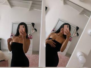 См. подробные сведения о модели LaurentRay