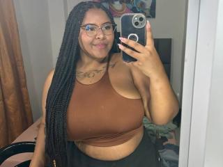 Ver la ficha detallada de AkiraHeat