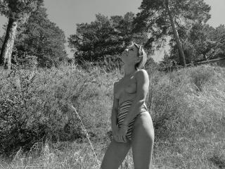 Ver la ficha detallada de IceMaya