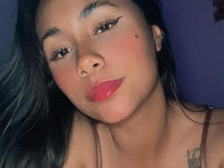 См. подробные сведения о модели AnaRome