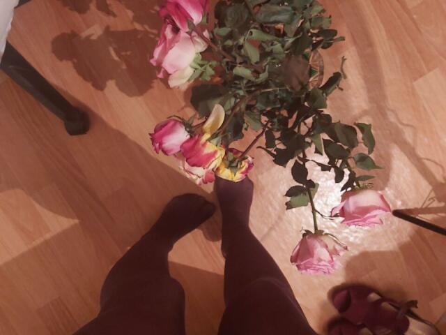 ElzaKomx's feet in dark socks, standing on wooden floor, with a broken rose bouquet, pink and white roses, green leaves, and a shadow. Lower legs and rose stems visible.