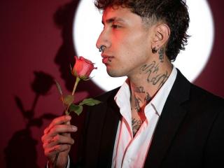 См. подробные сведения о модели polmood