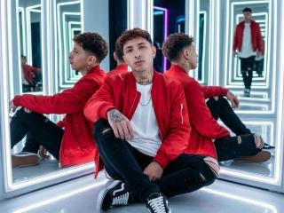 См. подробные сведения о модели polmood