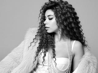 Yksityiskohtaiset tiedot mallista Niferttiti