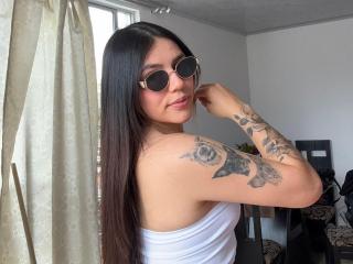 См. подробные сведения о модели SophiaMarx