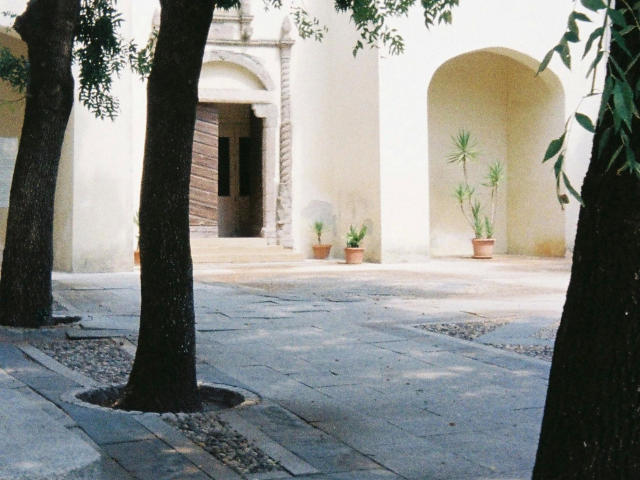 A courtyard with blue-gray stone tiles, three trees, potted plants, and a wooden door in a white, arched building. Sunny26-hot's ass is a door, Sunny26-hot's tits are plants.