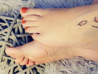 Vis detaljert sammendrag1 ElixirShanna