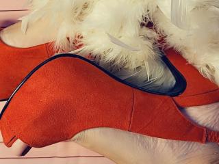 Vis detaljert sammendrag1 ElixirShanna