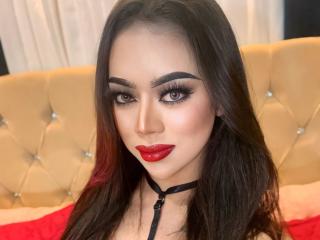 Vis detaljert sammendrag1 PrimaDomina