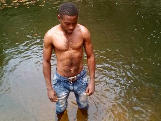 Ver la ficha detallada de BlackFelly