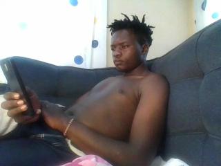 Ver la ficha detallada de Bobearr