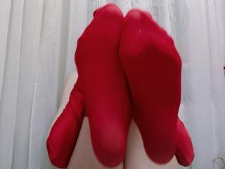 Ver la ficha detallada de WollyMolly