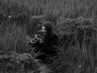 Δείτε την λεπτομερή καρτέλα του LeidaLala