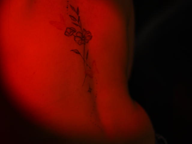 LunaColliins - Sexe cam en vivo - 29375948