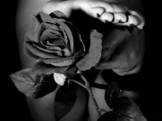 Ver la ficha detallada de VonneLucia