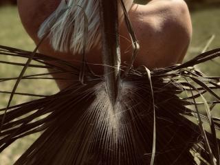 Ver la ficha detallada de FortyLeride