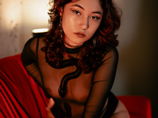 AliCipher's Model Profile