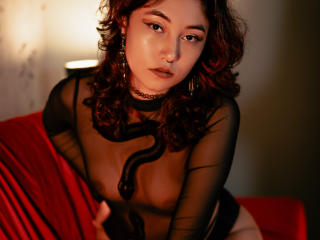 AliCipher's Model Profile