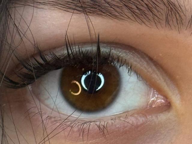 MeganCarlson's brown eye with a bright white reflection, thick black eyelashes, and a slight pinkish-white eye socket, surrounded by brown eyebrows and slightly messy upper eyelashes.