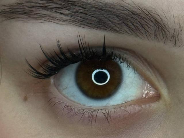 MeganCarlson's eye is a brown, shiny, boogers-free peepers with thick black lashes, a white pupil, and a brown iris. Her eyebrow is dark and slightly raised.