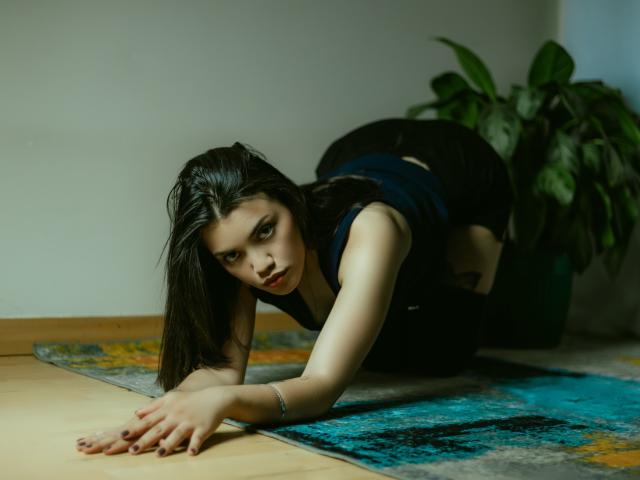 SandaBabeDolly on all fours, black hair, blue shirt, black shorts, looking at camera, on a colorful rug, green plant in background, wooden floor, bracelet on right wrist.