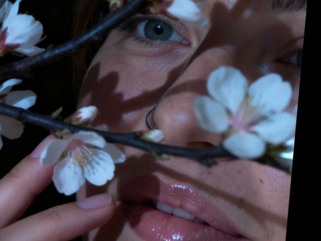 DirtyQueen-hot's face with blue eyes, shiny pink lips, and a hand gently touching her cheek, framed by white cherry blossoms and dark brown branches in the foreground.