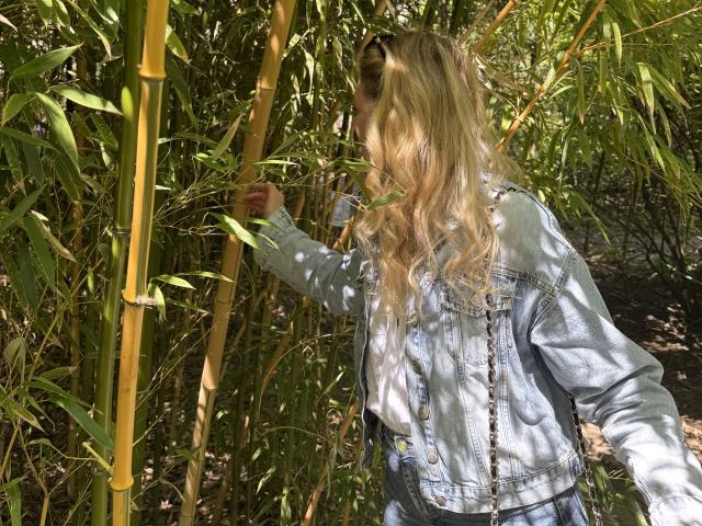 GladisBelle with long blonde hair, denim jacket, and sunglasses, touching a yellow bamboo stalk, standing in a dense green bamboo forest.