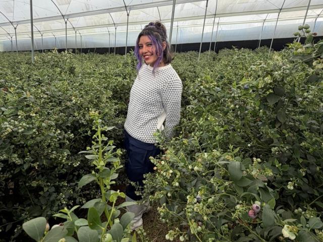 DarckVelvet with purple hair, white checkered sweater, and dark pants, standing in a greenhouse filled with green, leafy plants, smiling at the camera.