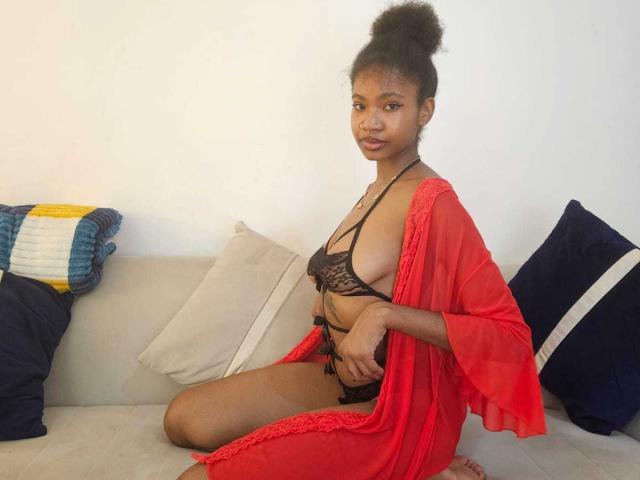 SashaPanthom kneeling on a couch, wearing a red sheer robe over black lace lingerie, exposing her small tits, with a curly updo, looking at the camera.