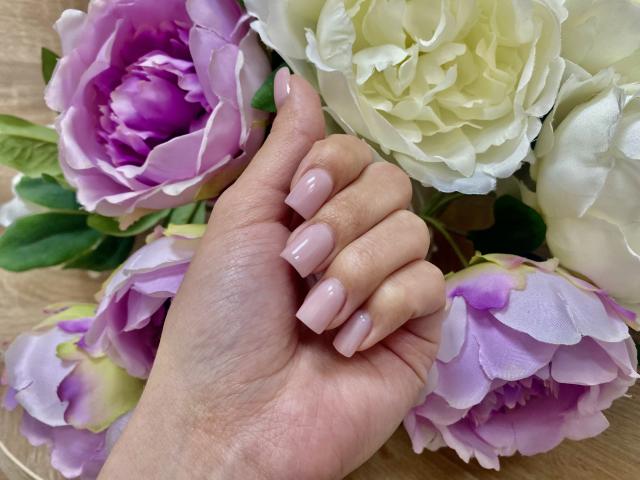 Olivias Hand, mit rosa, mandelförmigen Nägeln, ruht auf purpurfarbenen und weißen Pfingstrosen. Ihre Haut ist hell, und die Blumen sind weich und üppig..