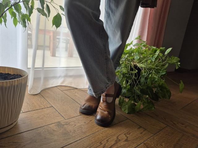 LoriEla's ass in blue jeans, brown leather shoes, standing on wooden floor, next to green potted plant and white curtain, with pink curtain to the right.