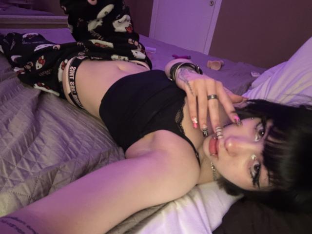 AshleyAlt acostada en una cama, vistiendo una camiseta negra, pantalones de pijama negros con estampados de gatos, y mostrando su vulva perforada con la mano. Habitación morada, almohada blanca..