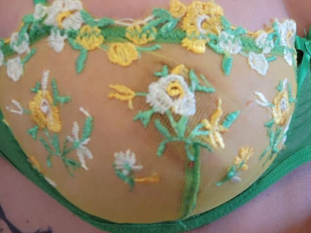 Il reggiseno giallo, verde e bianco ricamato all'uncinetto di FrenchShanna mostra i suoi seni attraverso una rete trasparente, con motivi floreali e bordi verdi..