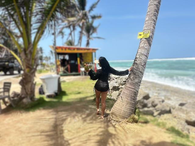 GraceClarke with long black hair, black top, and shorts, hanging from a palm tree, holding flowers, beach in background, blue ocean, yellow sticker on tree, sunny.