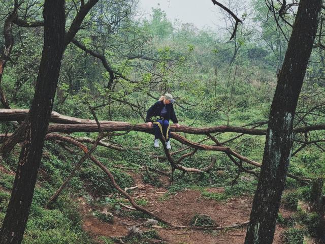 ErmelindaFlowers is sitting on a fallen tree in a forest, wearing a blue shirt and yellow pants, with white sneakers, surrounded by green trees and brown dirt.