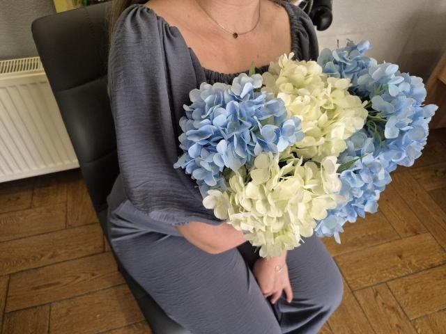 Meeranda sits on a chair with blue and white hydrangea bouquet, wearing a gray dress, holding flowers in front of her, wooden floor, Meeranda's tits partially visible.