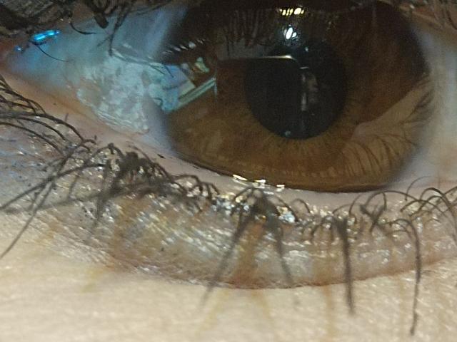 OrianaLaFrancaise's brown eyeball with dark iris, thick black eyelashes, and a small reflection. Her eye is slightly wet, with visible skin texture and tiny hairs.