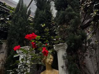 Δείτε την λεπτομερή καρτέλα του SherylHill